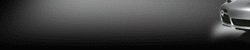 AntiRadary.NET 250x50px